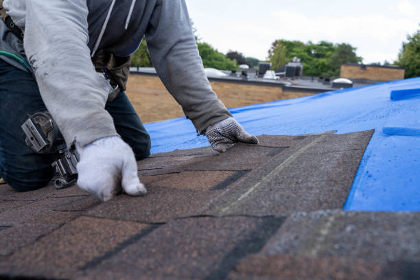 Best Roof Leak Repair  in Stuart, IA